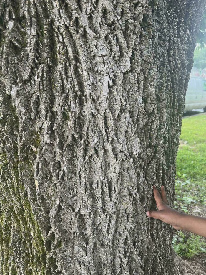 "This one jumped right out at me."