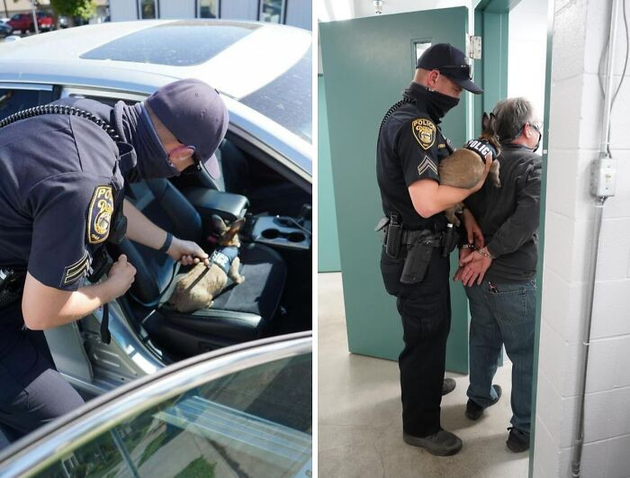 "Basically, Saw A Post On Facebook And They’re Now Using Bunnies On The Job"