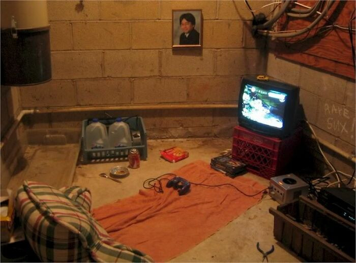 "The OG Nintendo Nest"