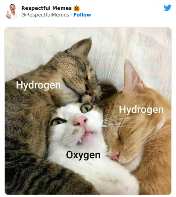 16. Chemical Bonds via Cats