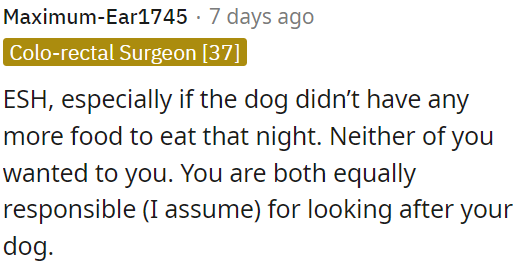 Both are responsible for the dog's hunger, especially if there's no more food for the night.