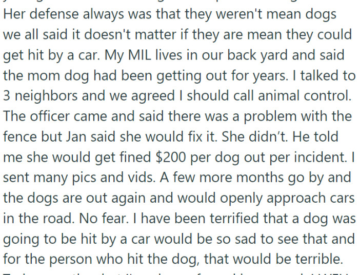 Despite OP and other neighbors expressing their concern for the dogs' safety due to the traffic, Jan dismissed their worries.