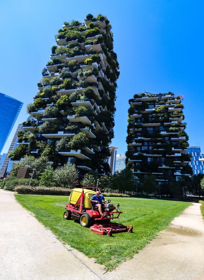 “Tree-Mendous Towers”