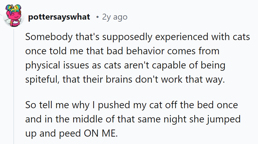 Cat: 1, Cat Expert: 0. Who knew they could be so... inventive?