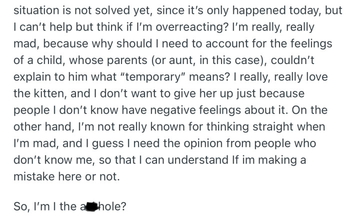 OP got mad and had to involve the original rescuer. However, she’s eager to know if dragging a cat with a child is the right thing to do