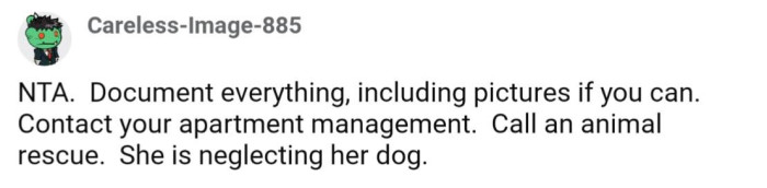 The Dog Is Being Neglected