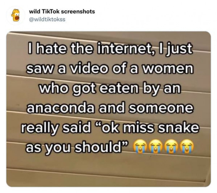 24. You Gotta Hate the Internet