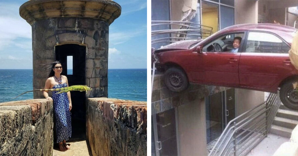 52 Unexpected Moments Caught On Camera That Prove Even The Rarest Odds Can Happen