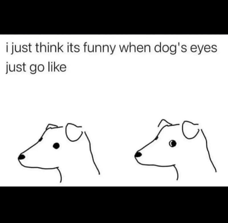 17. They’ve got that side-eye game on lock.