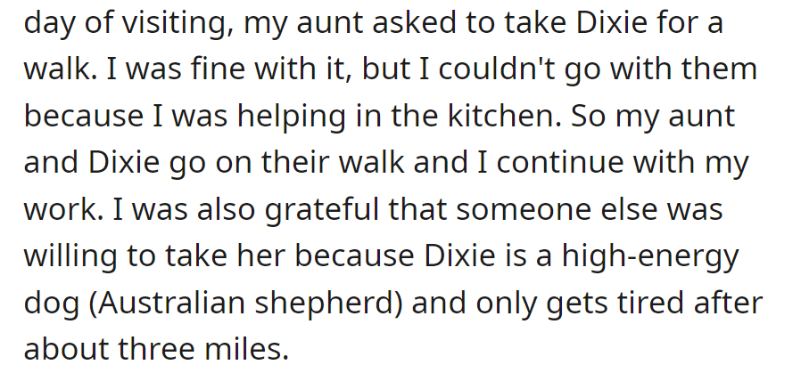 Aunt took Dixie for a walk while OP helped in the kitchen. Dixie, a high-energy Australian shepherd, needs about three miles to tire out.