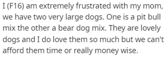 OP's family owns two huge dogs but they don't have the time or money to take care of them
