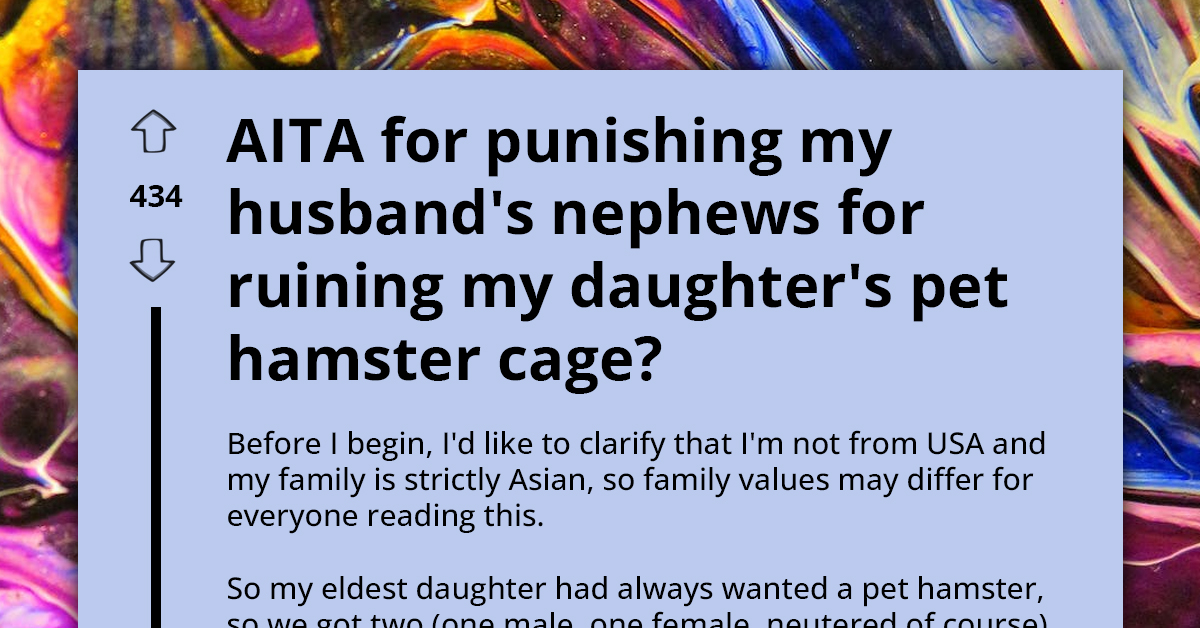 Woman Punishes Her Husband's Nephews for Ruining Their Pet Hamster Cage; SIL Comes for Her