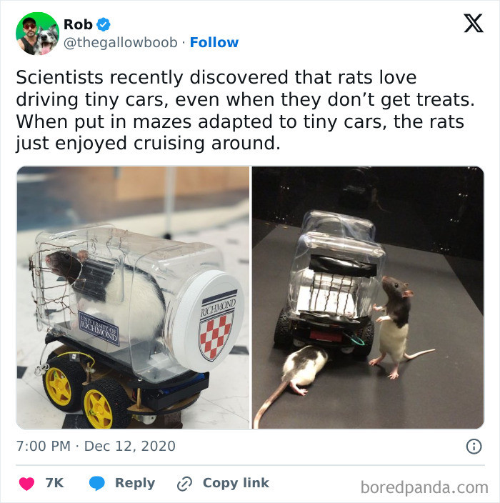 "This Is Adorable"