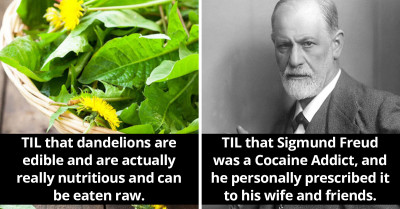 35 Interesting Facts We Bet You Didn't Know