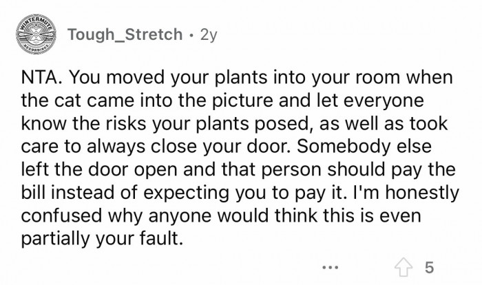 15. They think bringing up their cat's poor situation can convince you.