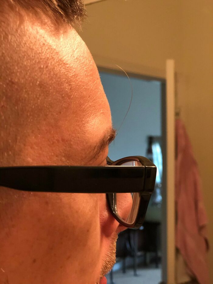 "My Absolute Unit Of An Eyebrow Hair"