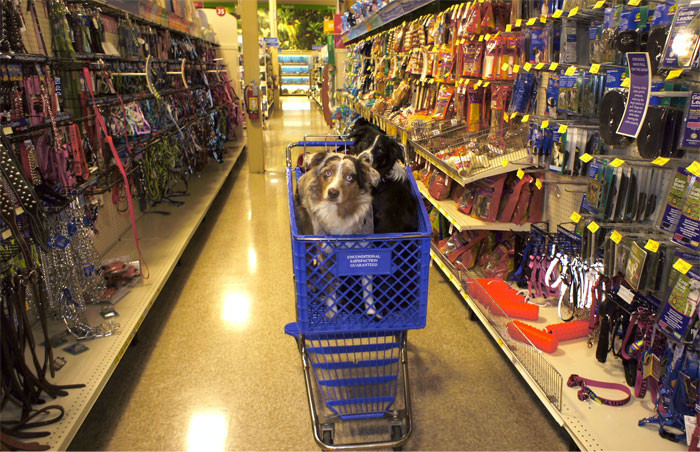 19. The Manager Asked Them To Work 2 Unpaid Hours After She Fired Them