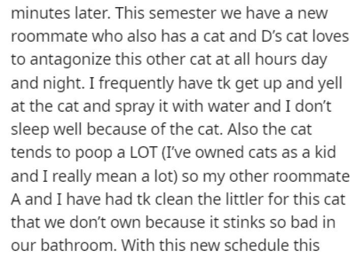 The situation is different now since they got a new roommate who also owns a cat