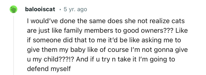 “I would’ve done the same. Does she not realize cats are just like family members to good owners?”