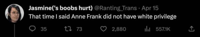 Anne Frank Without Privilege