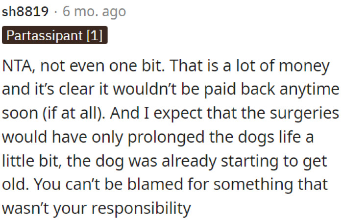 OP is not responsible for the dog's death.