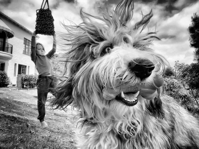 7. Charley From The Series 'The Lost Years' By Laurie Freitag