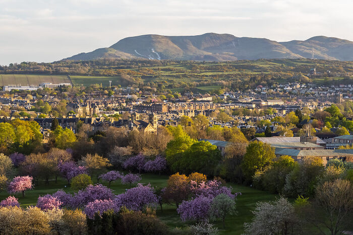 Scottish Landscape - Urban Greenspace, 1st Place: Edinburgh In Bloom By Jamie Mcdermaid