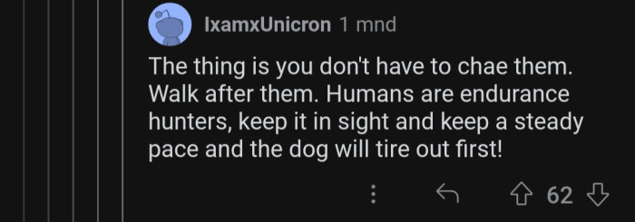 Humans have more endurance than dogs.