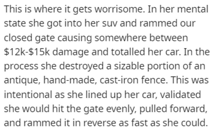 In the sister's mental state, she got into her car and drove it into OP's gate