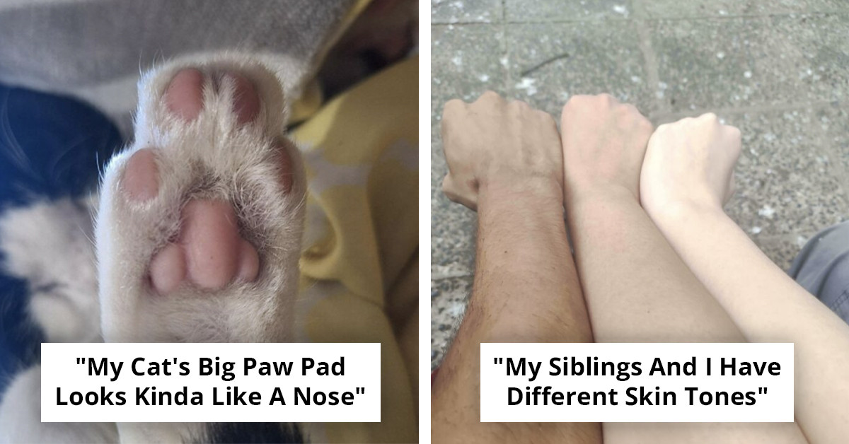 Ordinary Photos That Accidentally Became Far More Entertaining Than Expected