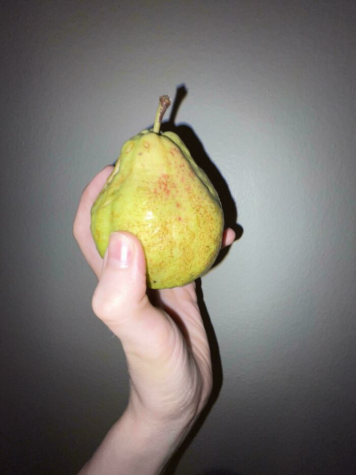 7. What Is This Fruit My Friend’s Mom Handed To Me?