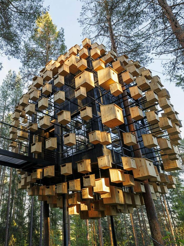 "Biosphere At Treehotel By Snøhetta"