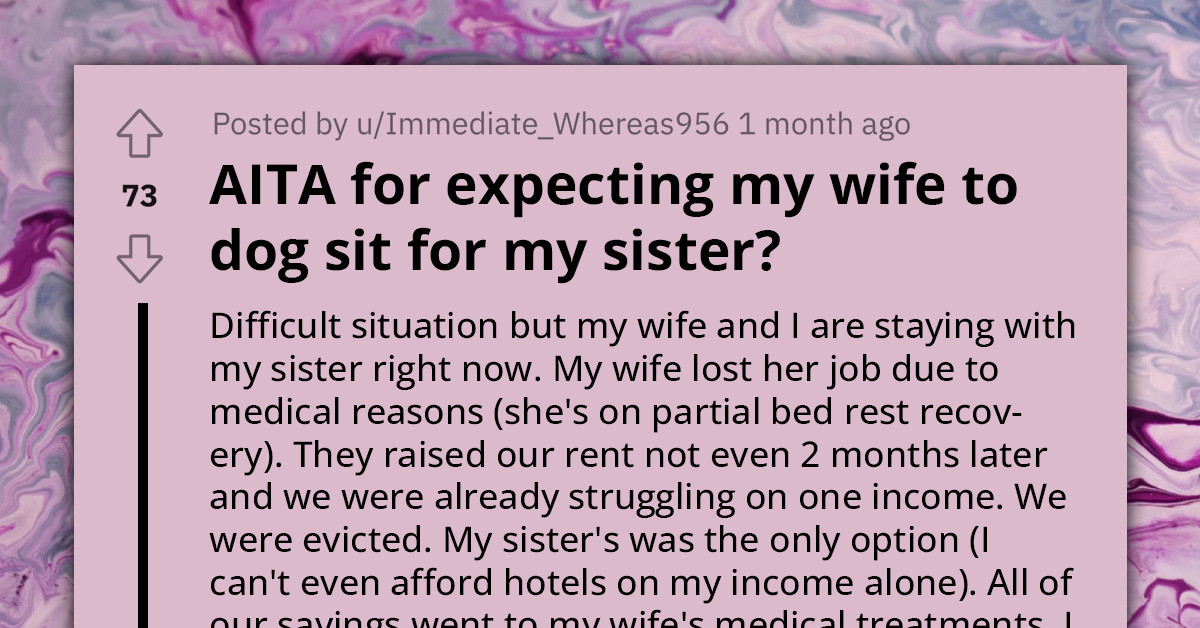 Husband Volunteers Wife to Watch His Sister's Dogs Even Though She's on Partial Bed Rest Recovery