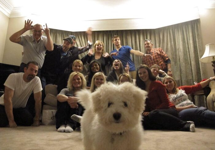 "Family Christmas Picture Photobomb"