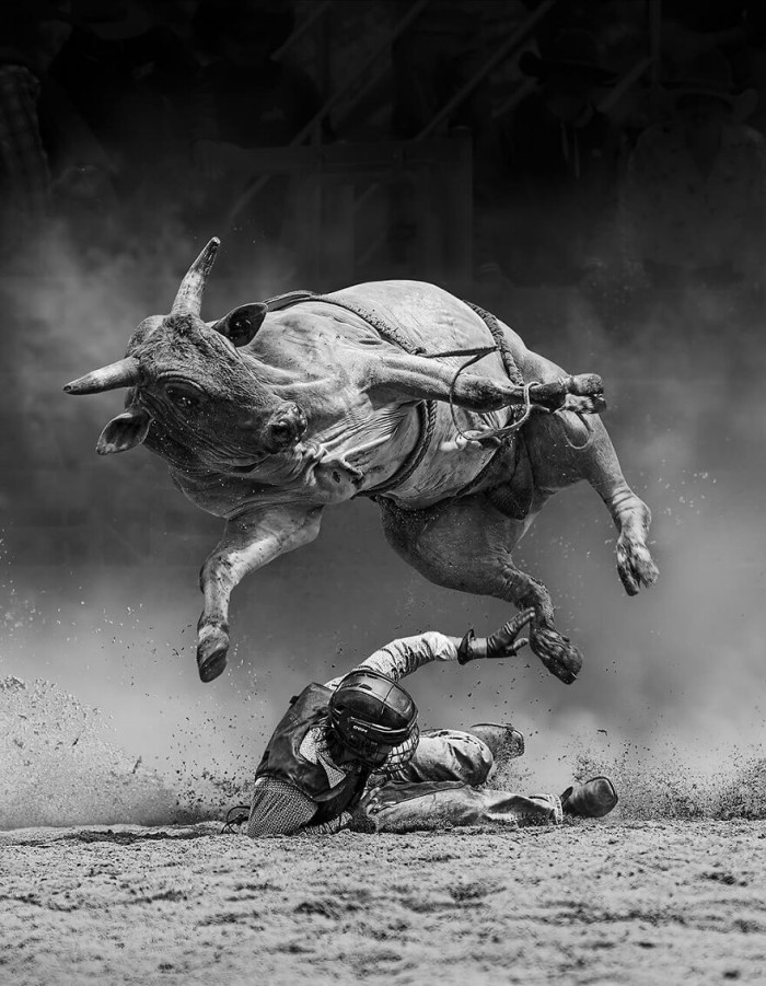 24. Narrow Escape By Tony Law