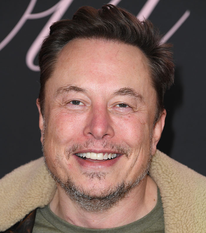 31st Place - Elon Musk (13k Votes)