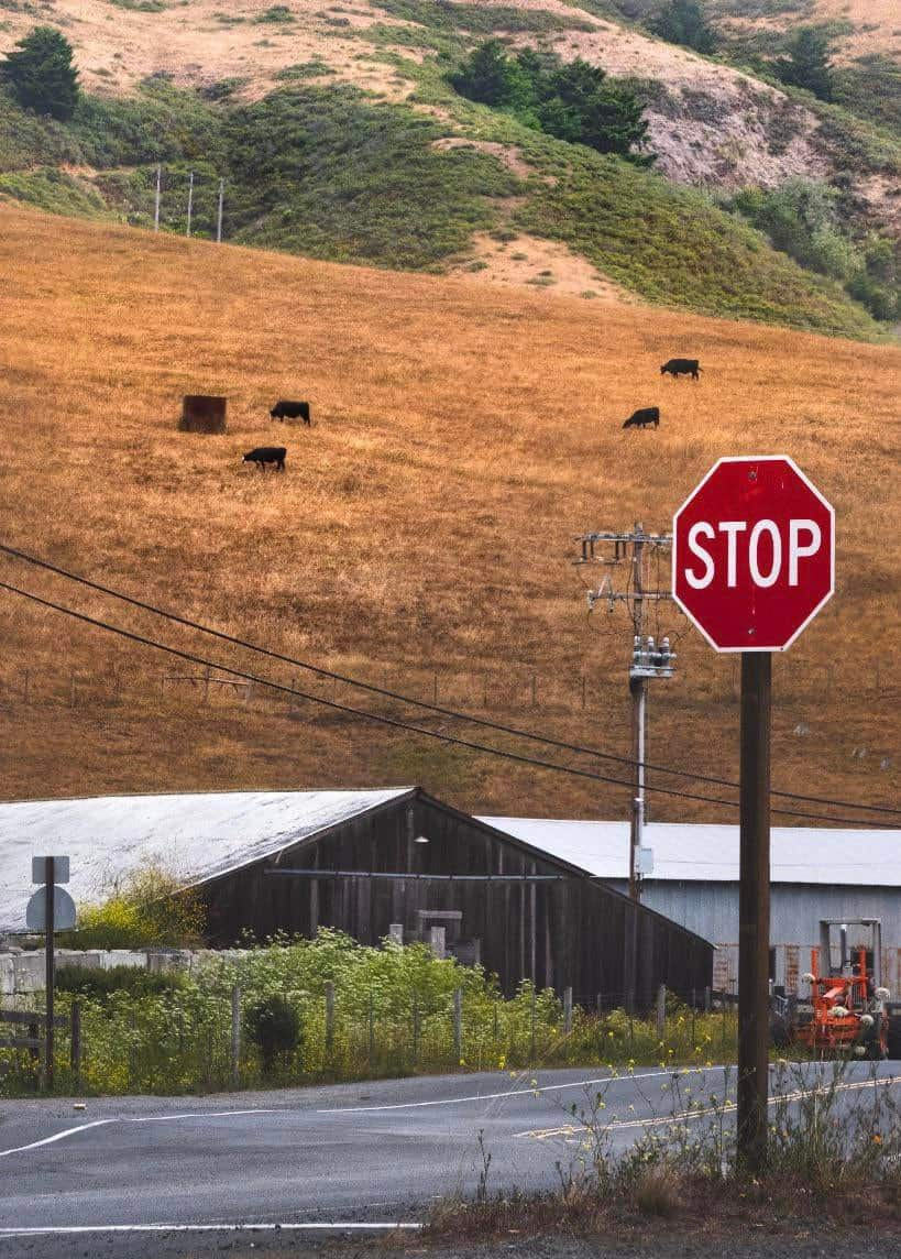 How did that happen?