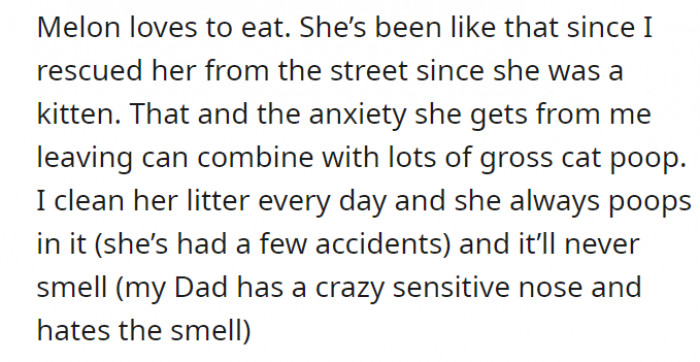 It is clear that Jen was only asked for a small favor; it’s just that Melon’s personality as a cat requires “lots of gross cat poop.”