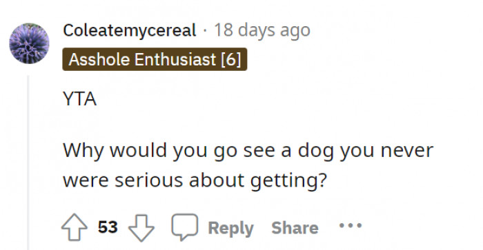 OP is the A-hole. They were never serious about adopting and somehow got carried away.