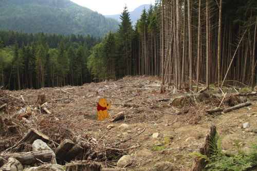 21. The New Adventures of Winnie The Pooh - there are no adventures here.