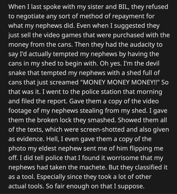 OP's sister and brother-in-law actually blamed OP for tempting his nephews with a shed full of cans that screamed MONEY!!!
