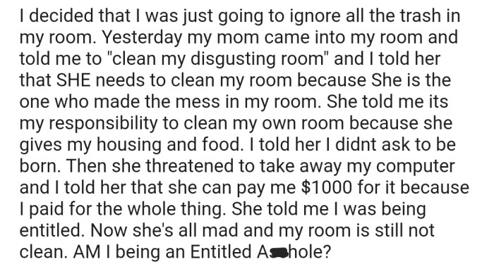 OP decided that they weren't going to clean it up regardless of their mother's threats