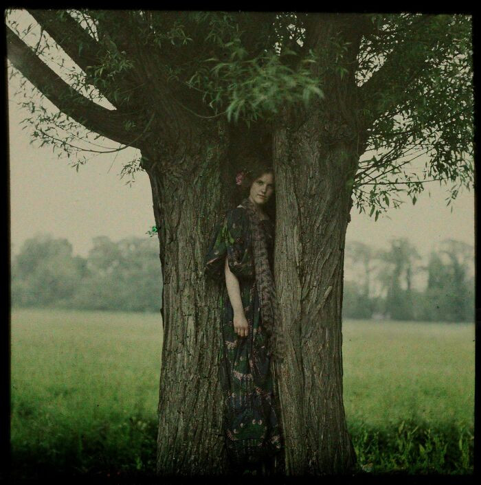 "Young Lady Posing Inside Of A Hollow Tree, Looking At The Viewer, Circa 1910. Autochrome"
