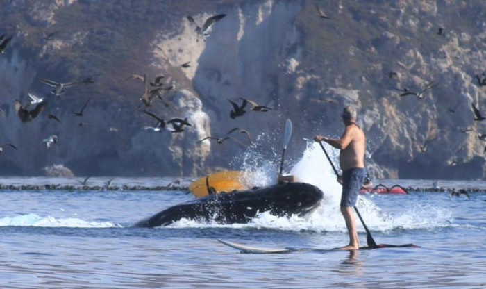 Hearing other paddle boarders yell