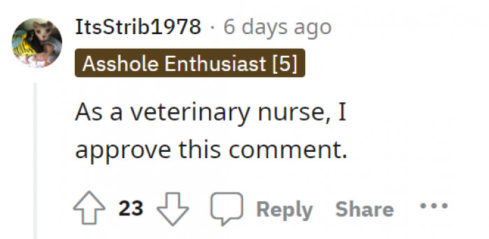 This other Redditor agrees with the previous statement. “The most humane thing to do is to euthanize her.”