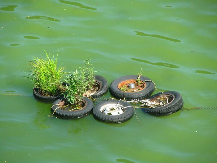 8. This is Tire Island in Japan.