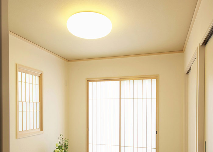 Your ceilings ..fly s**t in summer isnt a laughing matter.