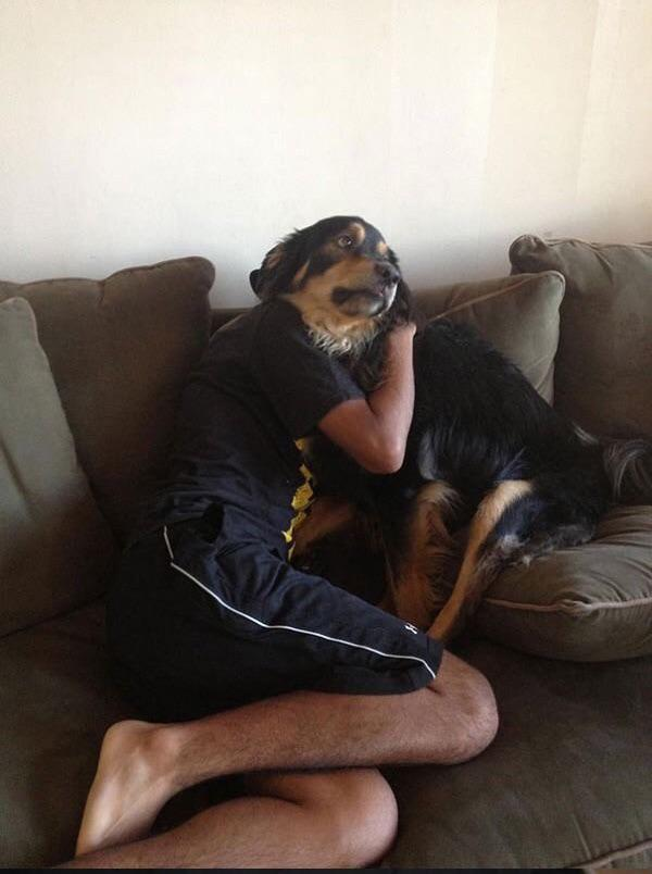 Doggo with a human head