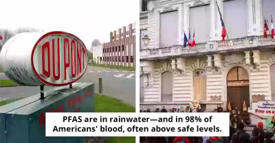 How A Company Secretly Poisoned People With Chemicals In Everyday Products