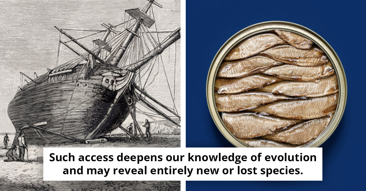 Researchers utilized lasers on Charles Darwin's collection of preserved specimens to uncover vital insights for future studies.